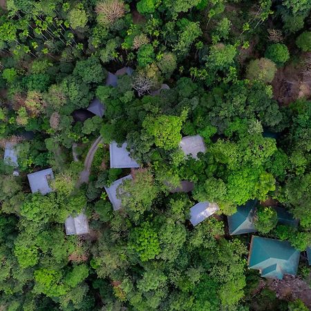 The Hive, Wayanad Hotel Bagian luar foto