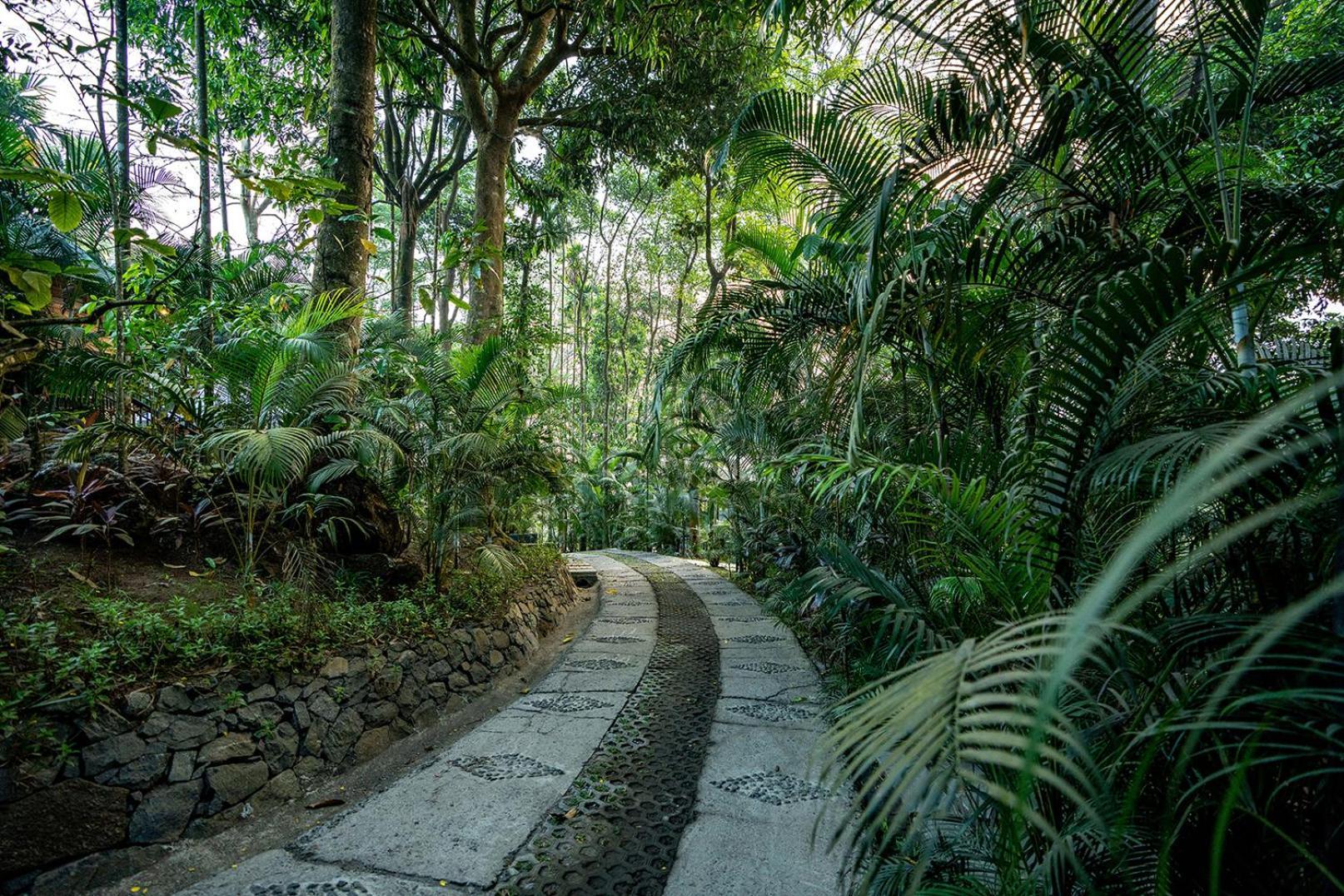 The Hive, Wayanad Hotel Bagian luar foto