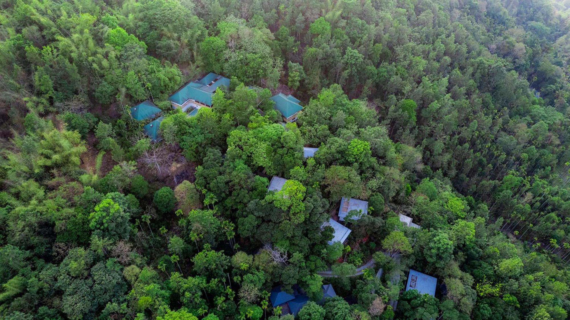 The Hive, Wayanad Hotel Bagian luar foto