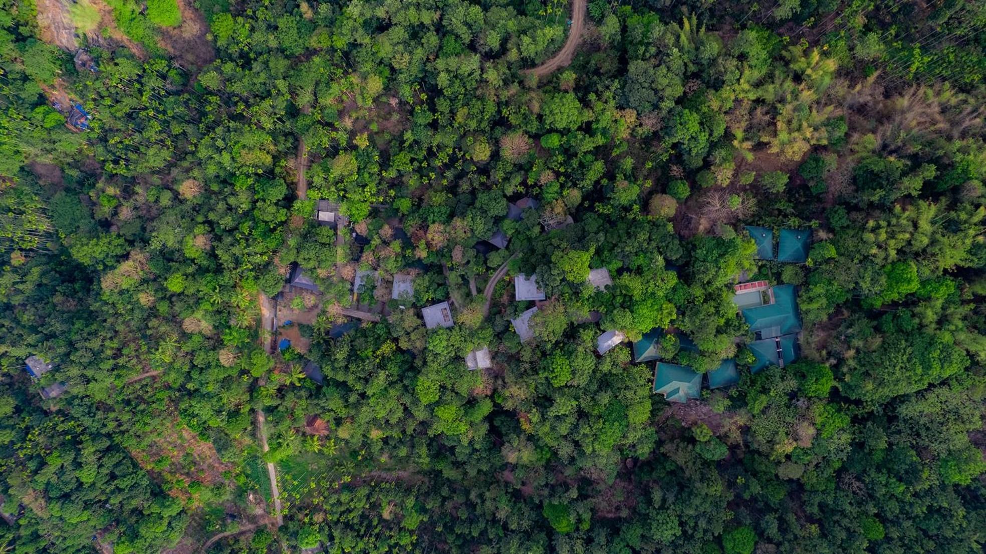 The Hive, Wayanad Hotel Bagian luar foto
