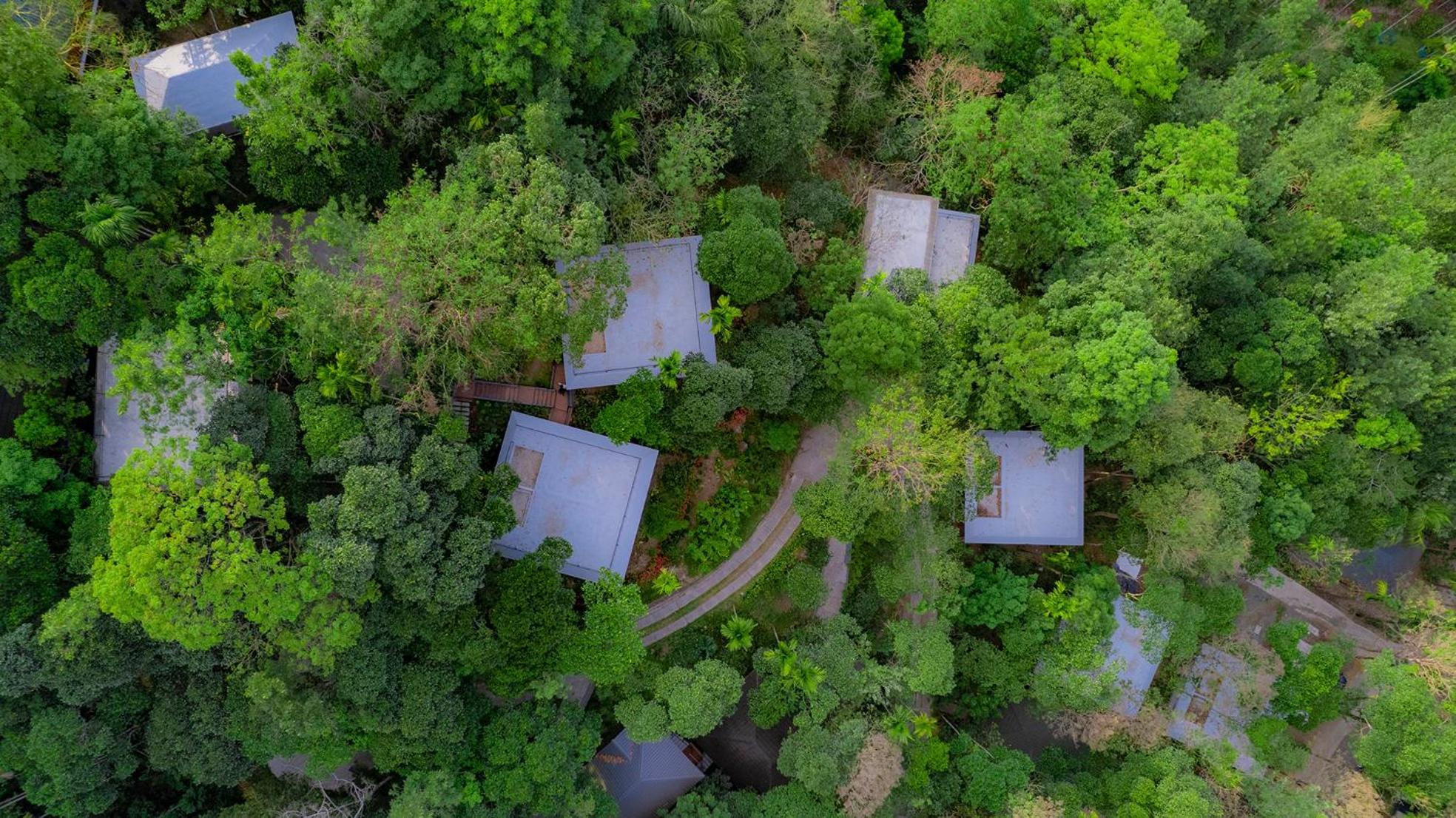 The Hive, Wayanad Hotel Bagian luar foto