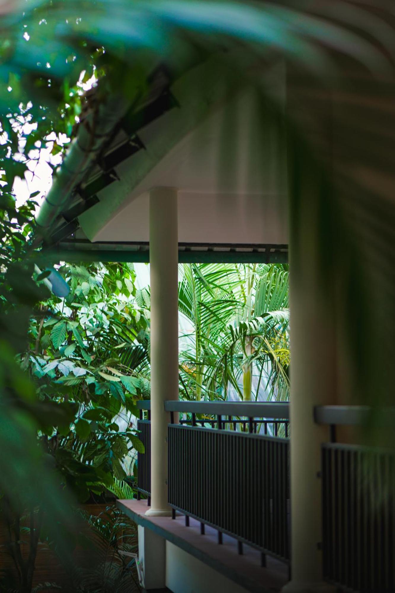 The Hive, Wayanad Hotel Bagian luar foto