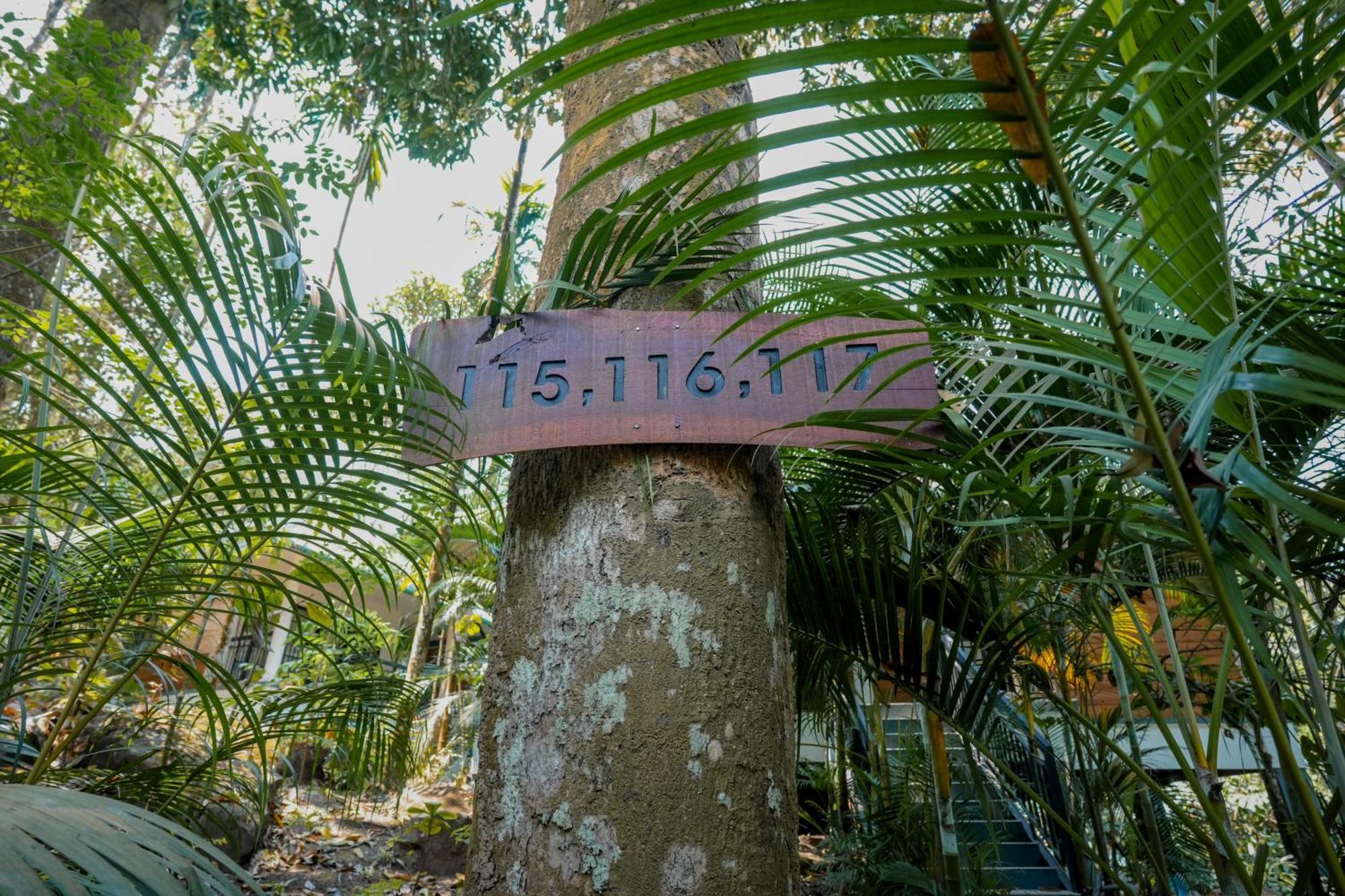 The Hive, Wayanad Hotel Bagian luar foto