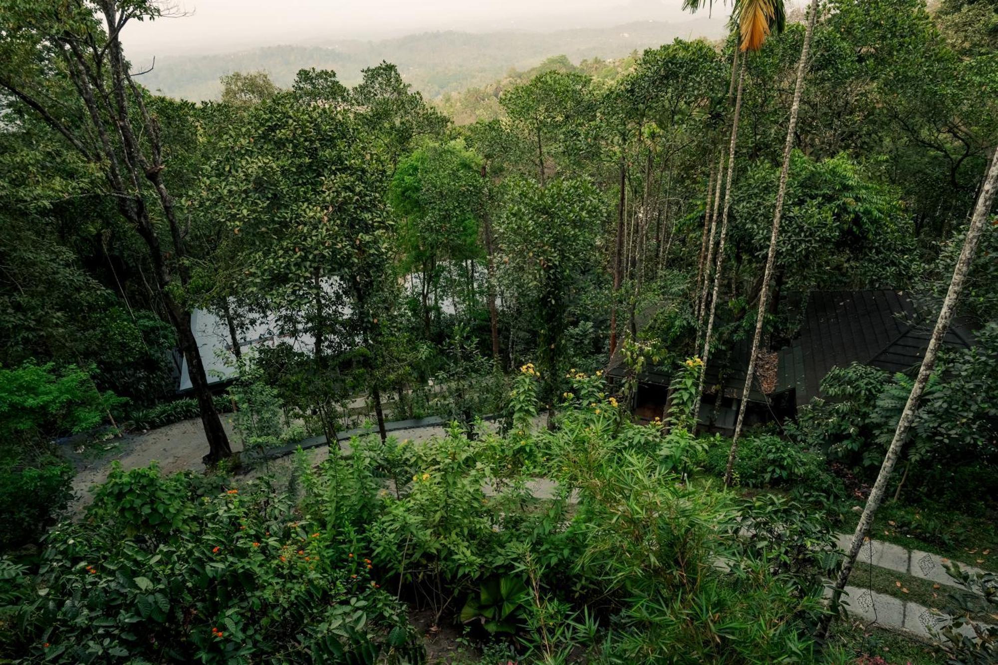 The Hive, Wayanad Hotel Bagian luar foto