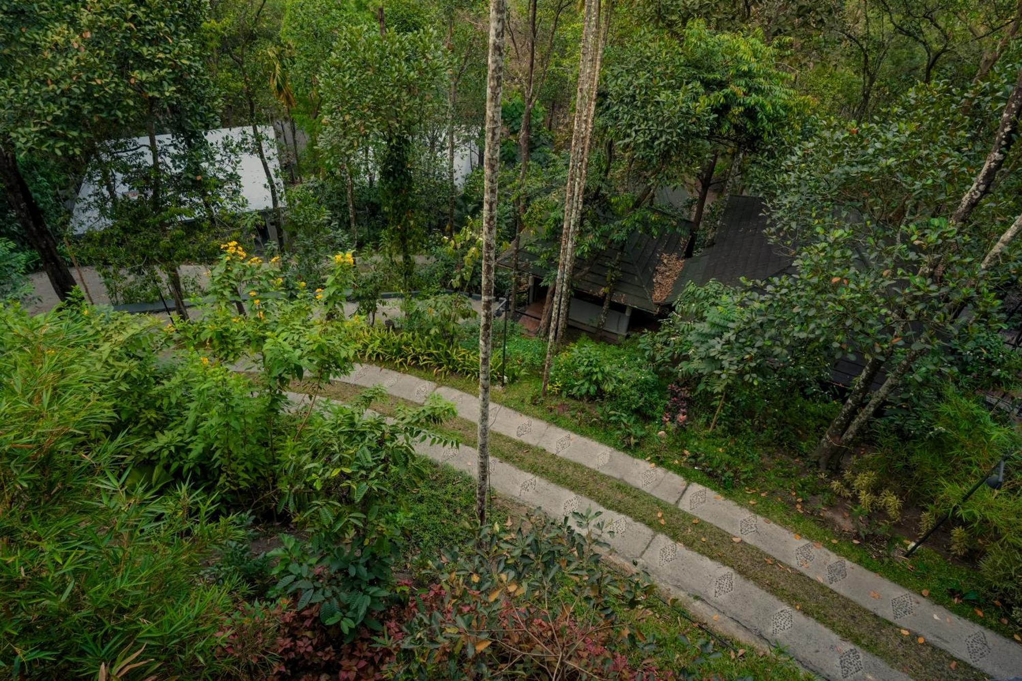 The Hive, Wayanad Hotel Bagian luar foto