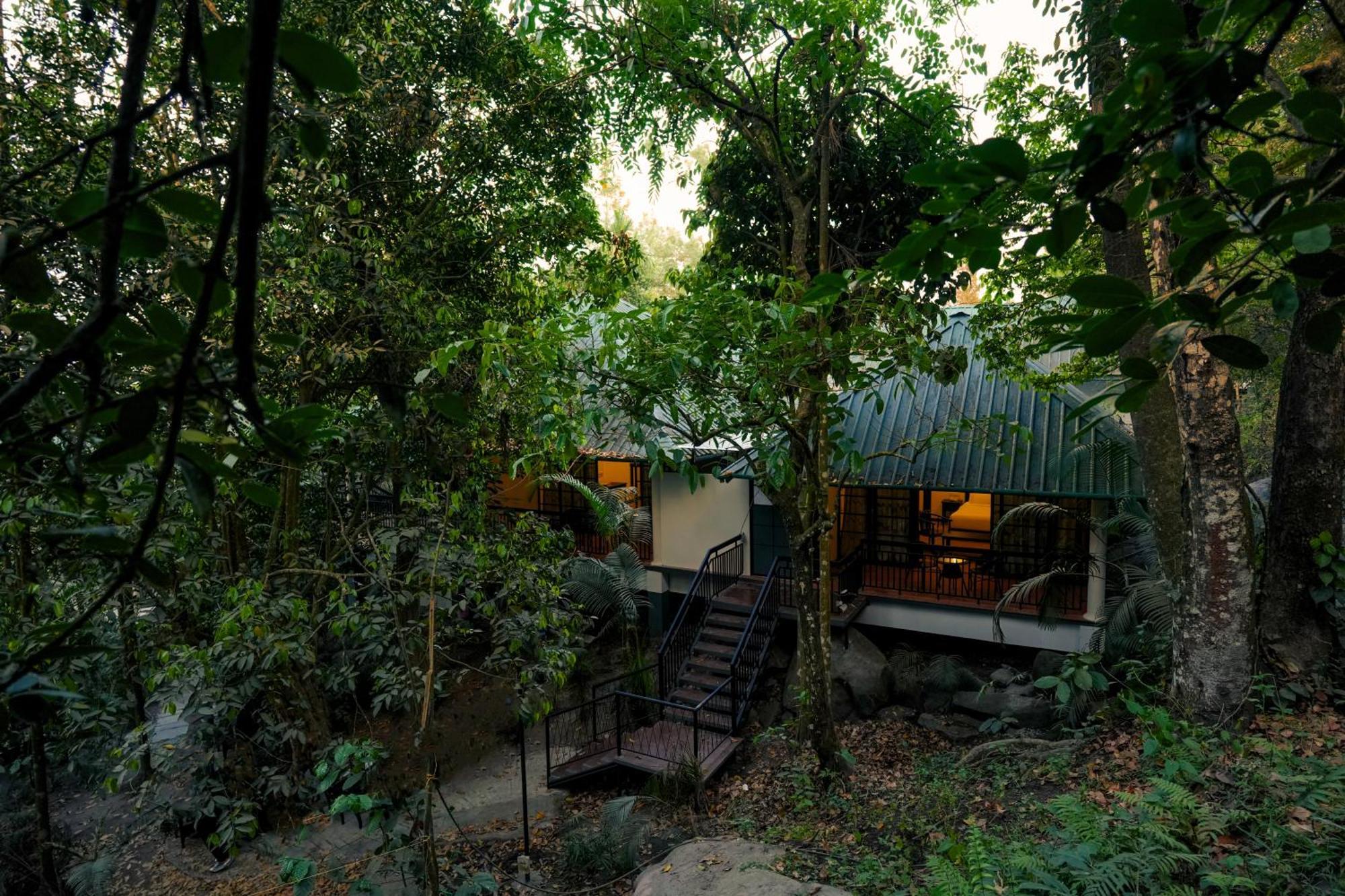 The Hive, Wayanad Hotel Bagian luar foto