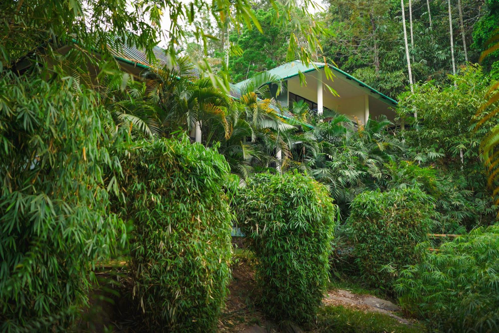 The Hive, Wayanad Hotel Bagian luar foto